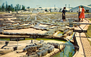 Illustration for article titled When the U.S. Army Corps of Engineers created a 200-acre, scale model of the Mississippi River Basin